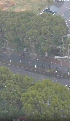 这场雪真的有点东西视频感受一下蔡东森 摄已经有网友拍下了美美的