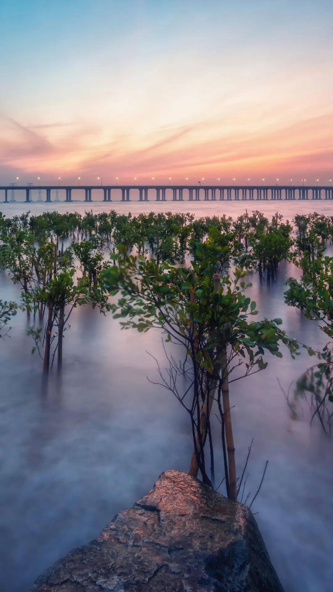 广东的海岸线风采各异,有湾深堤长