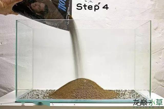 21步完成开缸,精确指导草缸小白入坑_水草_种植_造景