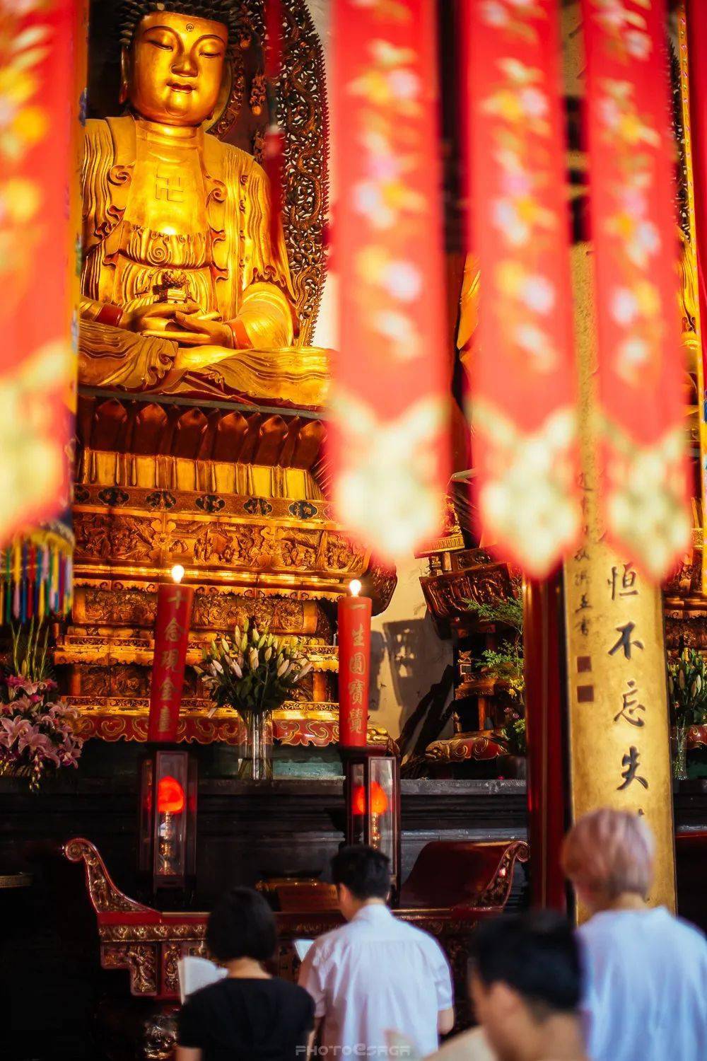 众生_羞耻_都会