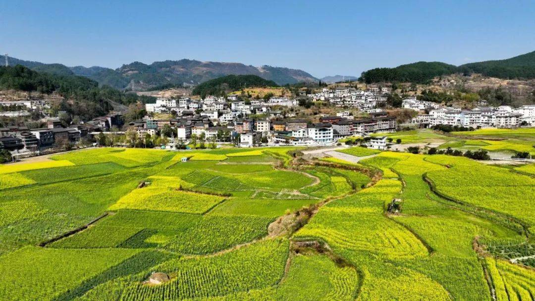 【聚焦农村"五治"】开阳县禾丰乡:"1234"工作法 打造和美乡村新气象