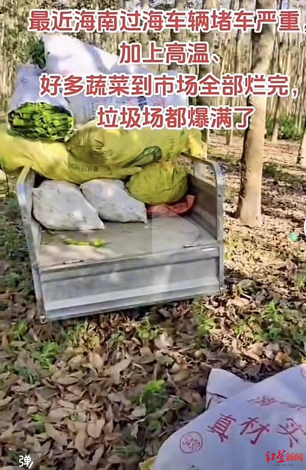 海南農產品滯銷調查：出島運輸車輛積壓滯留，萬