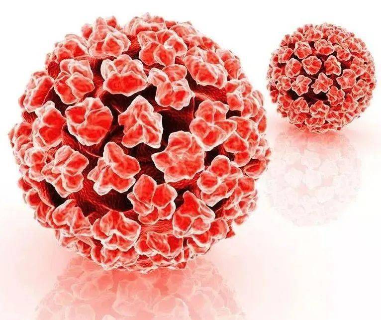 为爱鼓掌" 特殊小癖好",让女生更容易染上hpv病毒,你躺枪了吗?