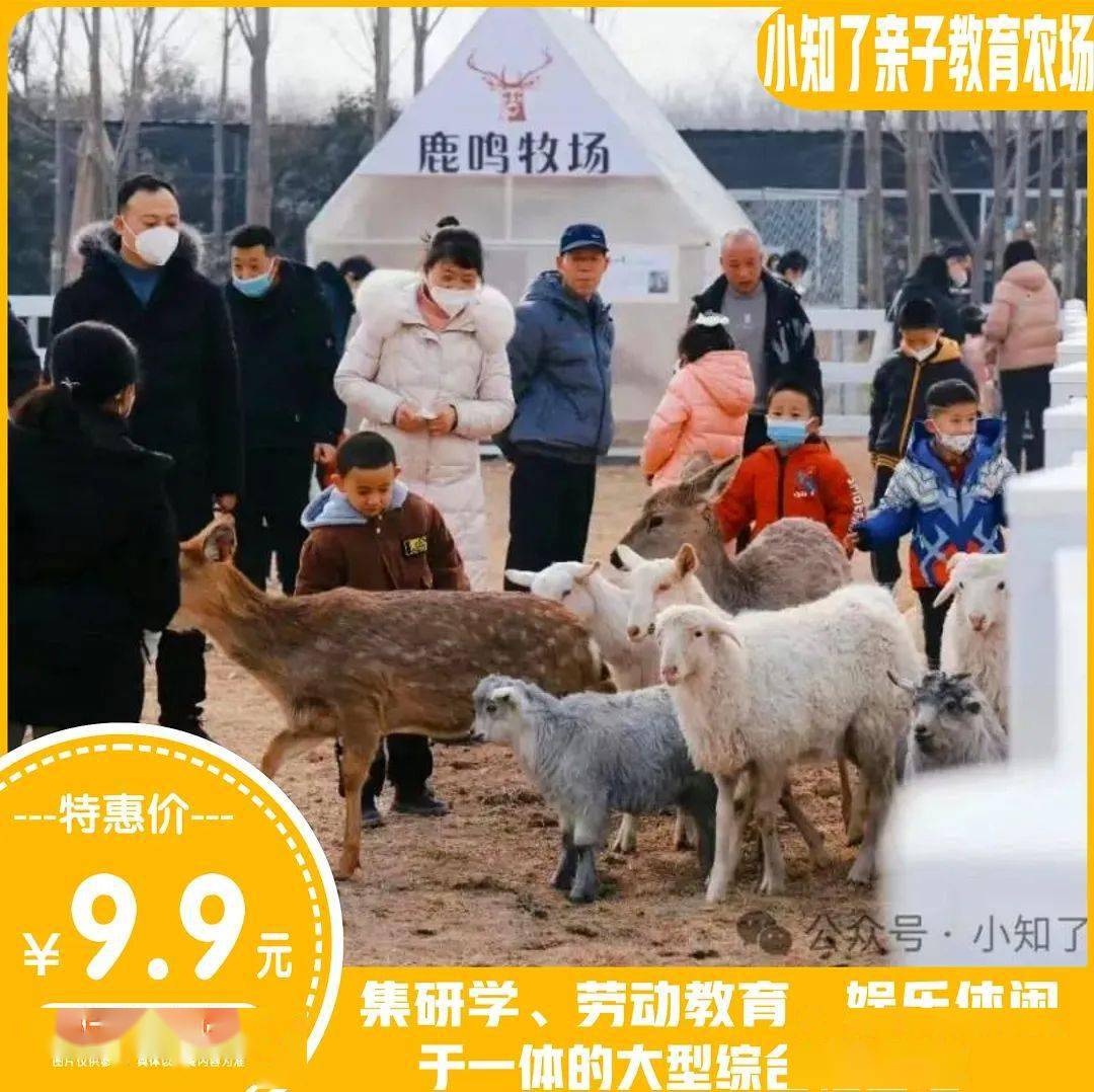 成人仅限携带1名免费儿童购票说明:￥96抢秦岭野生动物园"奇幻上林苑"