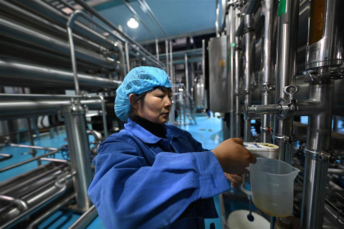 枝江茶叶深加工路子越走越宽_生产_宇隆_产品