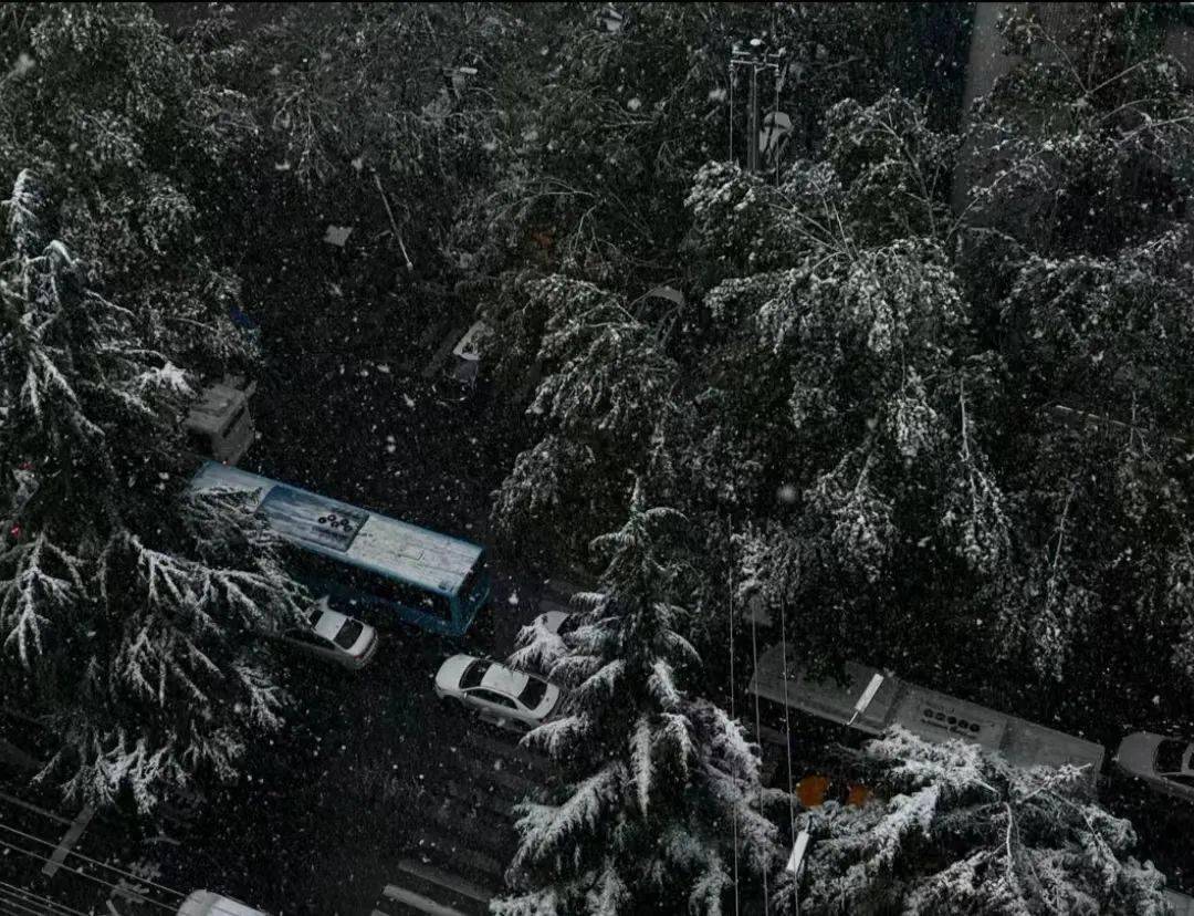 小雪,雨夹雪!西安雨雪马上来!陕西最新提醒_天气_全省_小雨