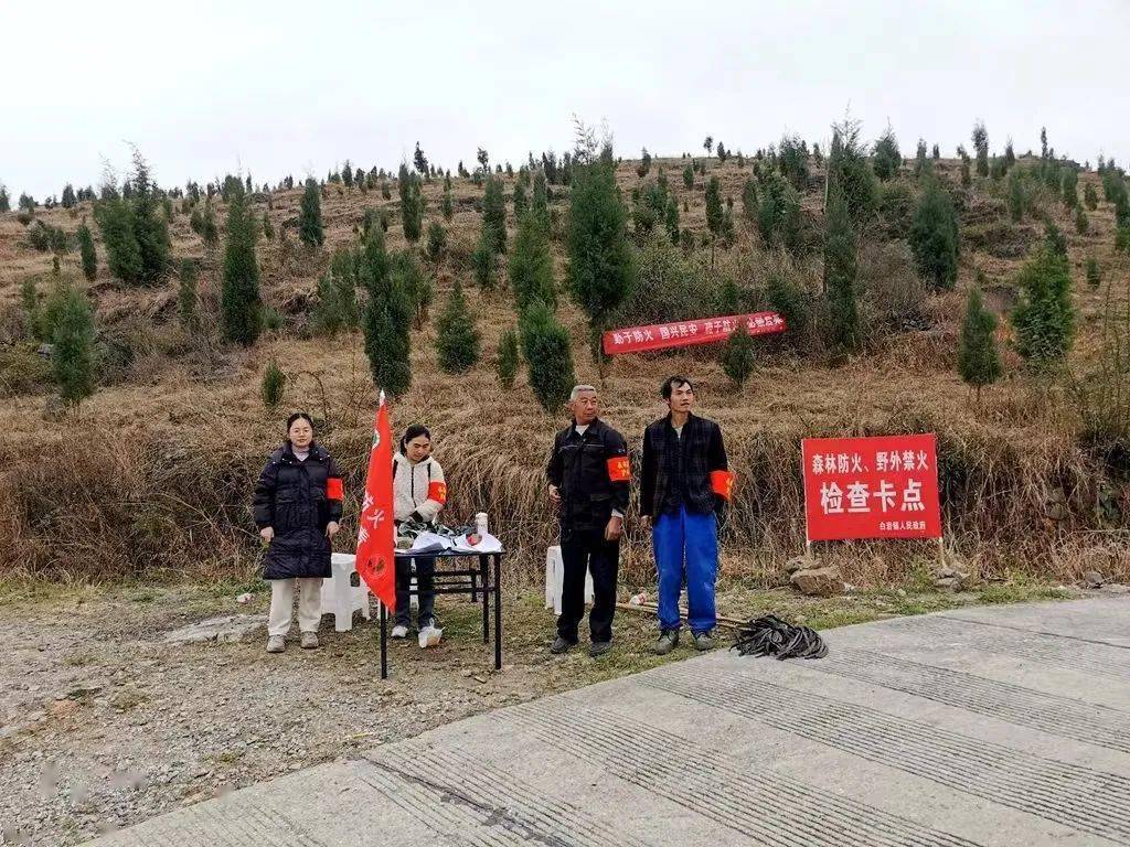 【森林防火】白岩镇:扎实开展森林防灭火工作_普定_隐患_火险