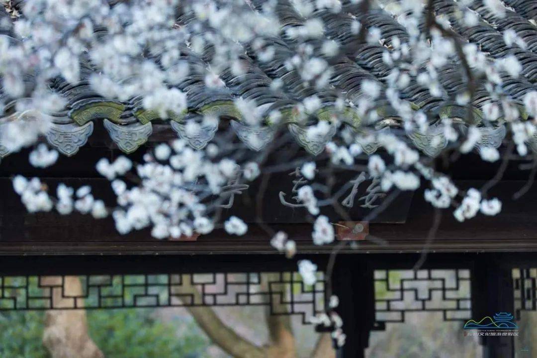 94沙家浜景区94文庙 94宝岩 94维摩山庄94燕园 94赵园