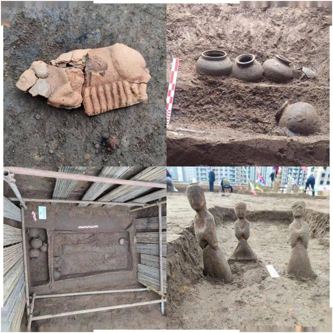 发现了龙山文化和岳石文化遗存