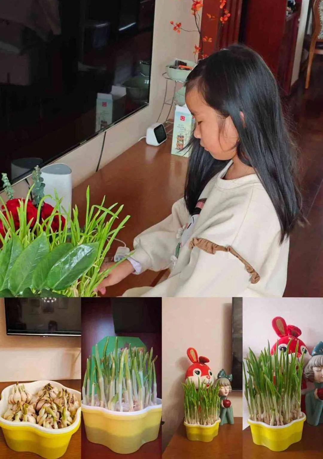 303班  吴昕晔303班  吴雨彤305班  胡娅菲305班  吴俊贤305班  吴晙