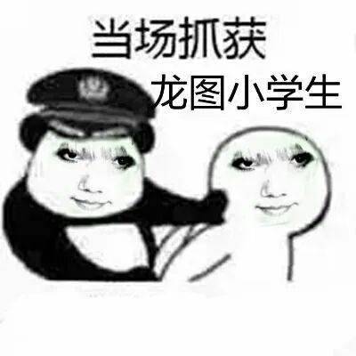 龙图表情包(99张)_公众_il_熊猫头