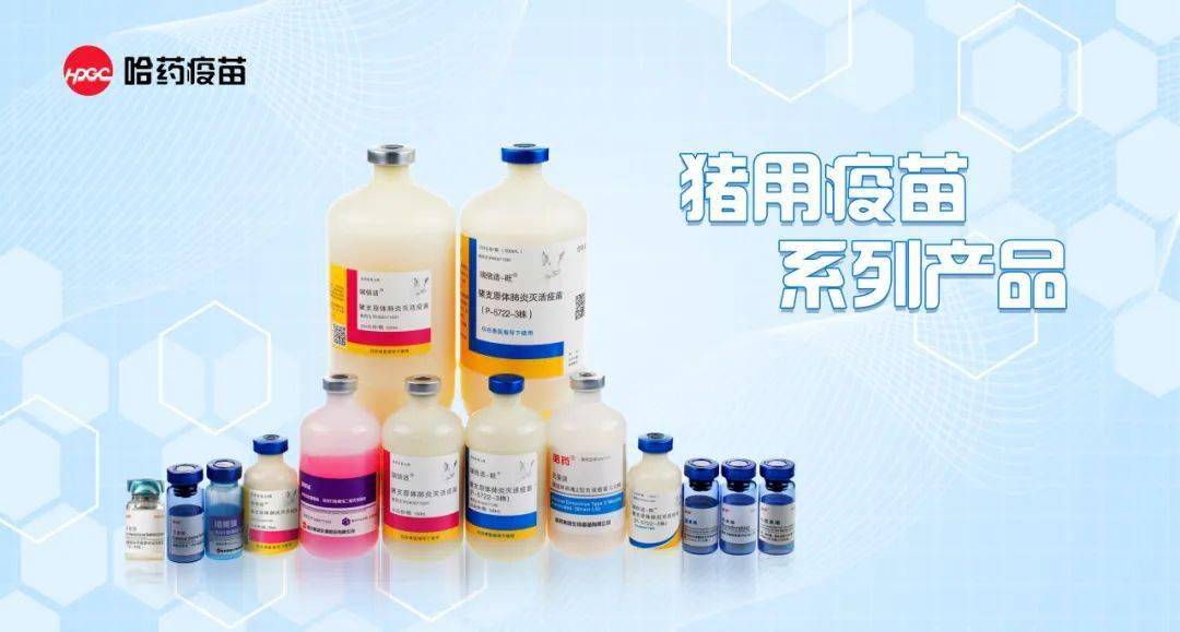 哈药疫苗"猪用疫苗"产品诚招代理商!_公司_企业_兽药