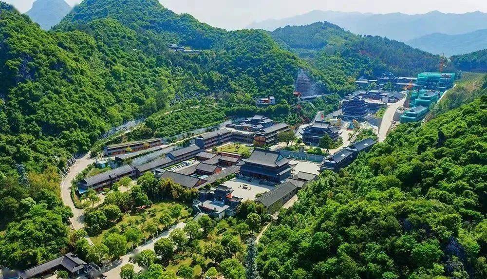 梅岭的梅花树遍布岭南岭北,每到冬天梅花怒放,漫山遍野,成了梅花的