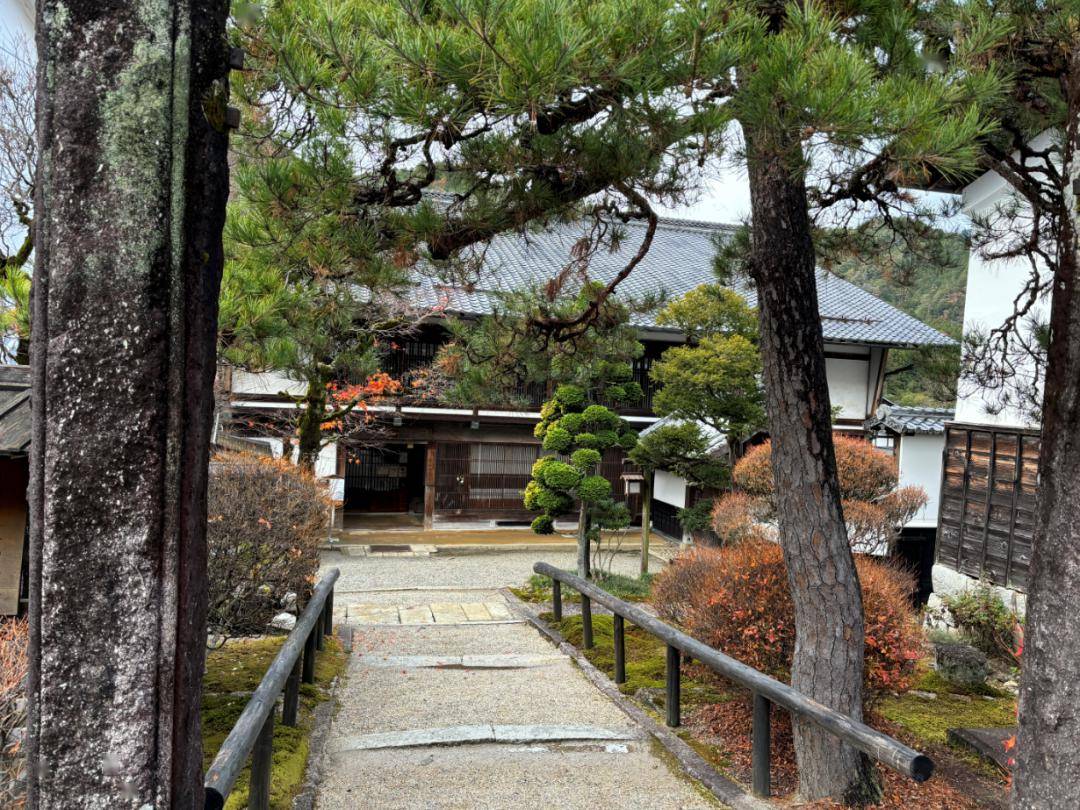 日本小众轻奢游 | 林海行禅,古道朝圣,找回古老与深邃_松本_温泉_食材