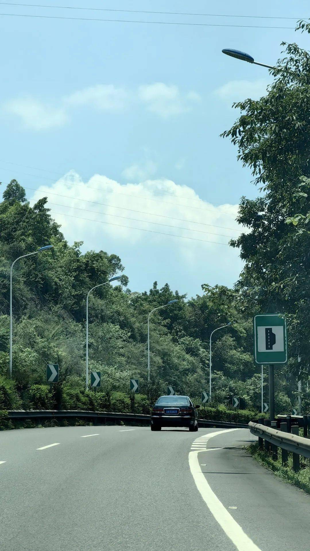 活动_什么_杨珂鑫