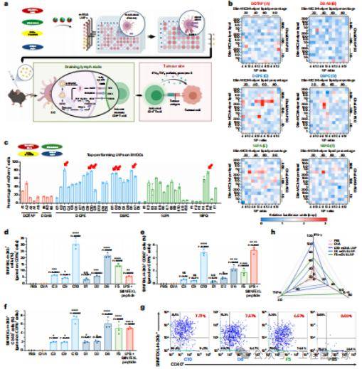 mrna递送系统开发:筛选靶向性lnp脂质组分以增强抗肿