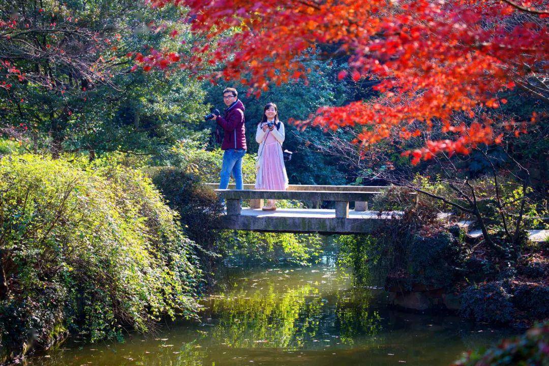 这座园林由明代沈氏园,龚氏园,金氏园和宋代城隍庙合并而成,秋霞圃与