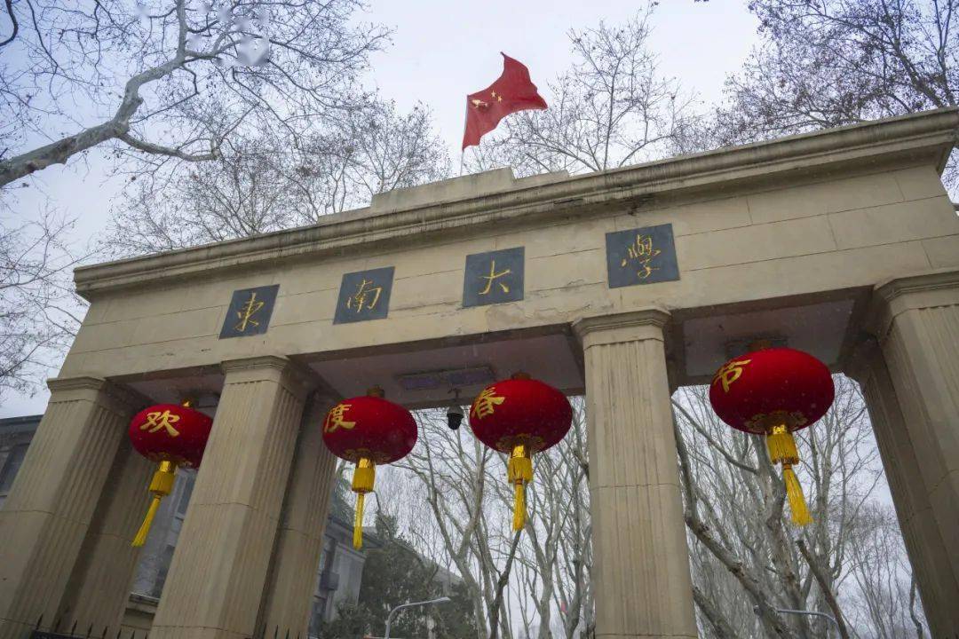 东大最新科研成果,"龙"重登场!_cations_研究_论文