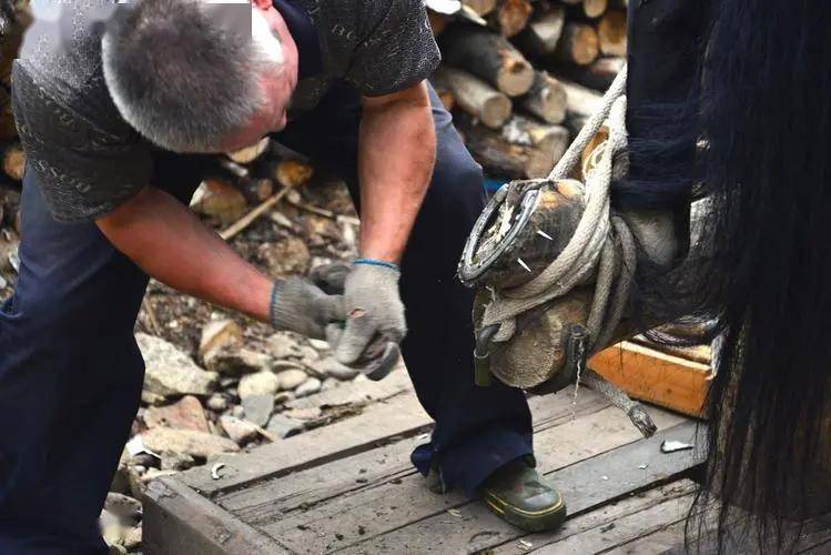 冰雪民俗文化的衍生与发展(三)_爬犁_马掌_人们