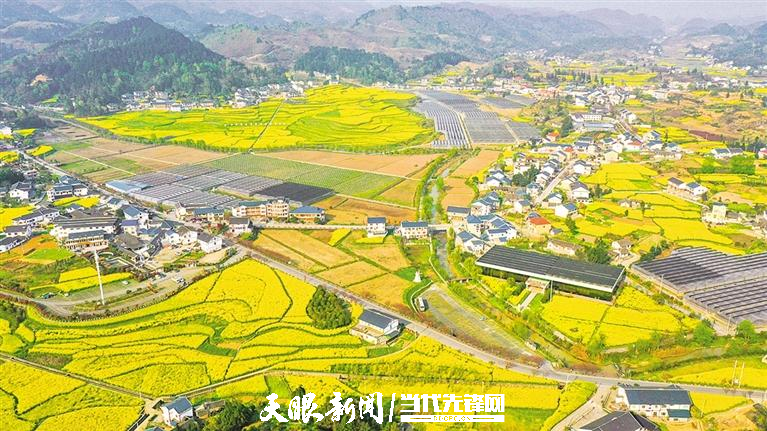 遵义花茂村:花繁叶茂 繁荣兴旺_游客_农家乐_乡村