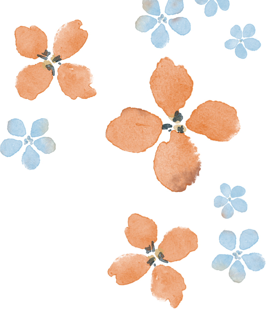 雨水积极上岗,何时阳光再现?_天气_气温_多云