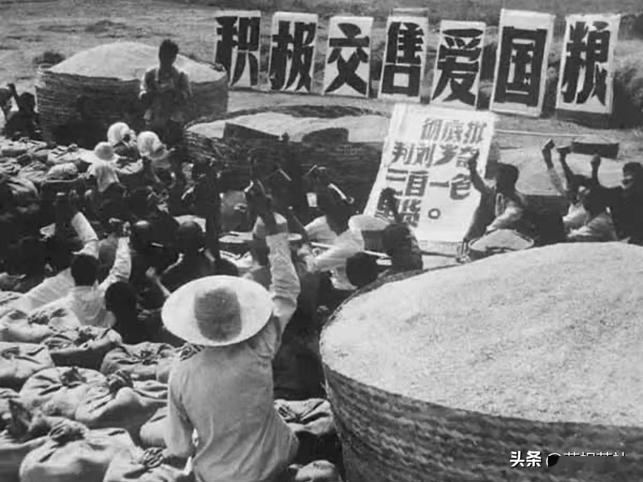 那年最后一次去粮管所(公社粮站)交公粮,李队长安排张晓雯她们四名女