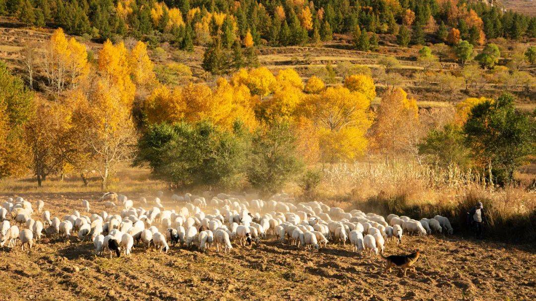 我省全面部署今年"三农"工作重点_示范_工程_就业