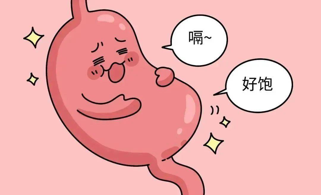 一种让你拉屎更愉快的健康「饮料」,很多人竟然不知道_膳食_纤维_肠道