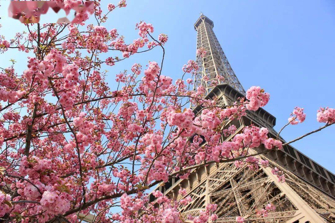 照片_角度_比例