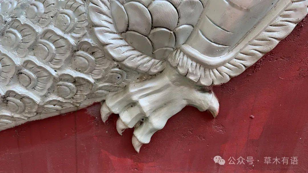 就被门口的龙行雕刻的大门吸引了,结果一休哥远程指导说是蛇神娜迦