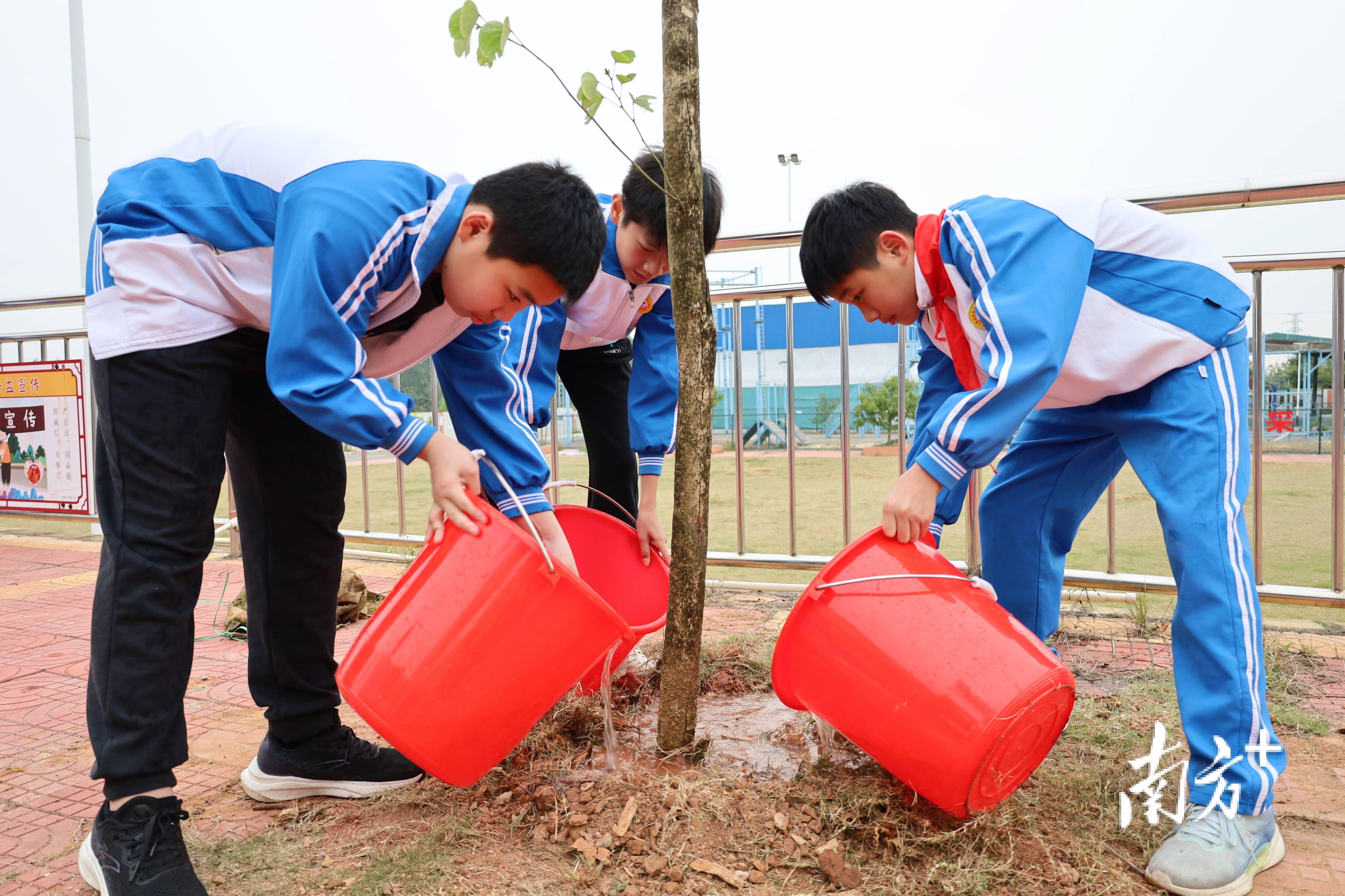 通过参与植树活动,我们可以为美化校园环境作出贡献,同时也可以净化
