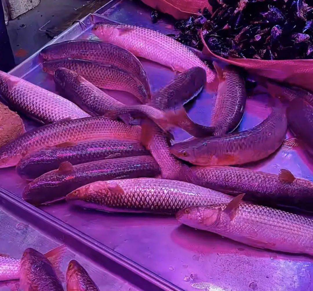 梭鱼_步骤_面糊