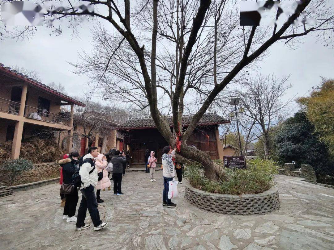 "陇原春晓"陇南诗会和甘肃文旅网红创作团队带你探秘美丽乡村!