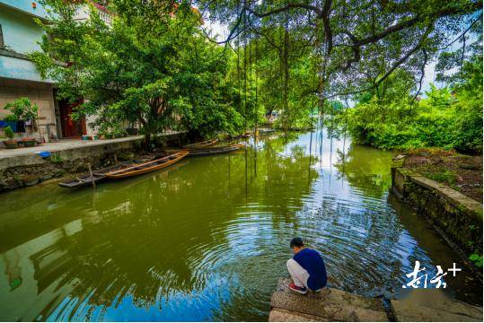 禅城"百千万工程"和美乡村微改造优秀样板出炉_项目_南村_田园