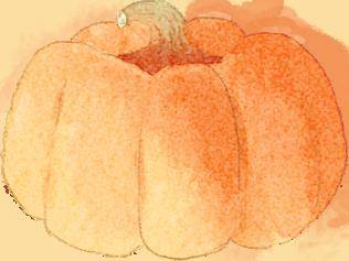 几块一斤的"长寿菜",这样做香绝了_南瓜_recipe_daily