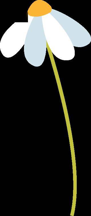 嘉兴市纪检监察信息中心招聘人才啦_岗位_人员_资格