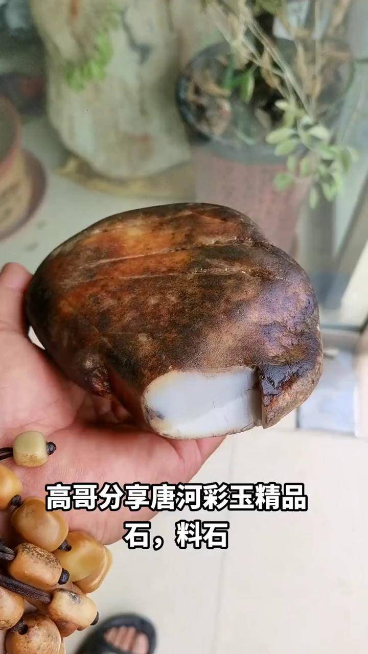 高哥分享唐河彩玉精品石,料石玉石魅力 高哥分享唐河彩玉精品石天然
