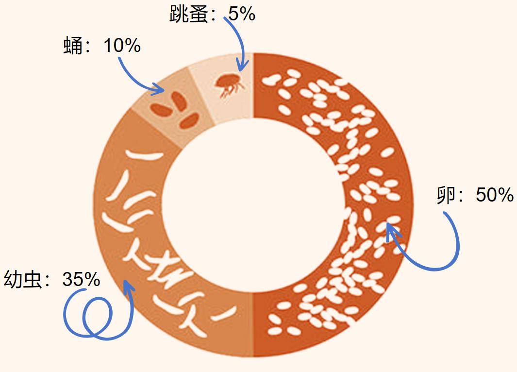 跳蚤成虫在猫狗身上,其它阶段都是在环境中的,如卵,幼虫和蛹会散落在