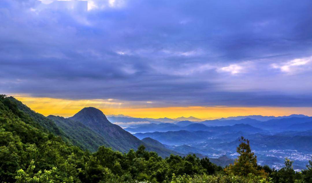 春色满园关不住,来漳州「上春山」_人间_景区_高峰