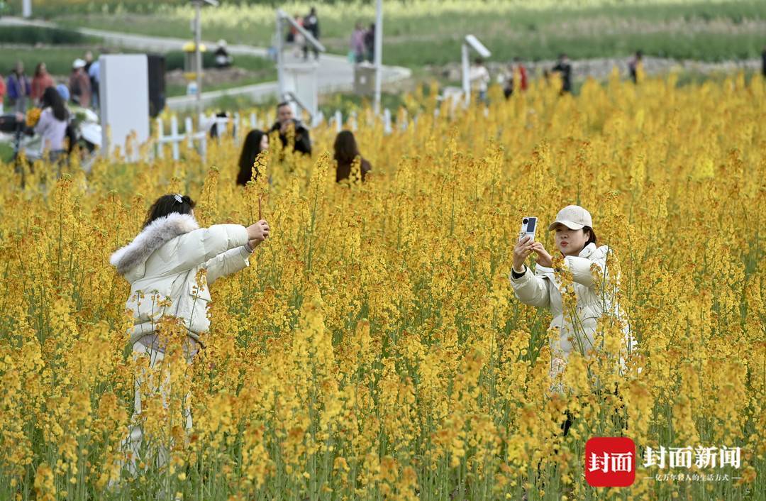五彩田园追春天丨图集