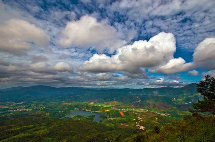 春色满园关不住,来漳州「上春山」_人间_景区_高峰