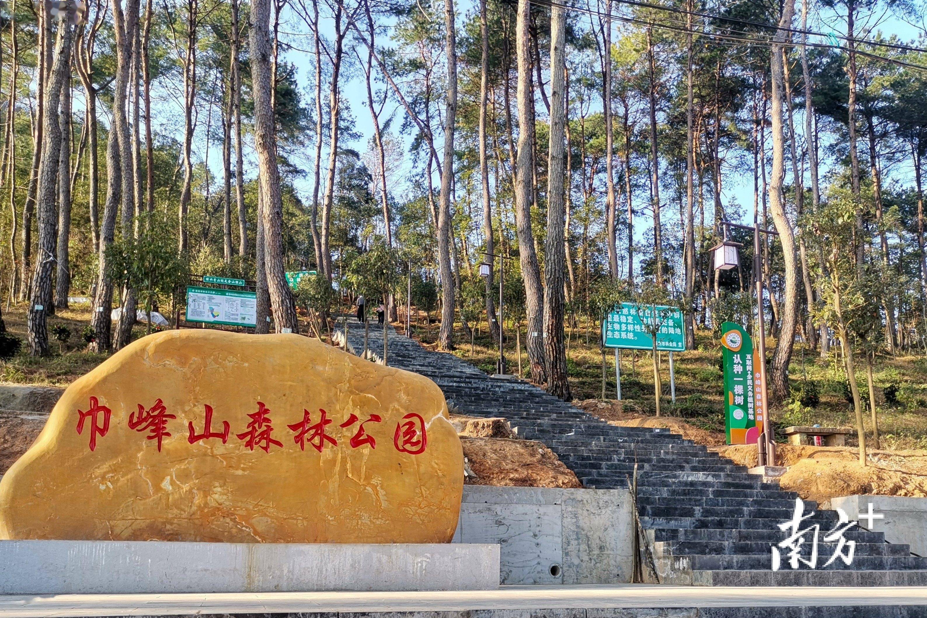 绿染城乡美不胜收!连州做实林长制书写"绿美答卷"