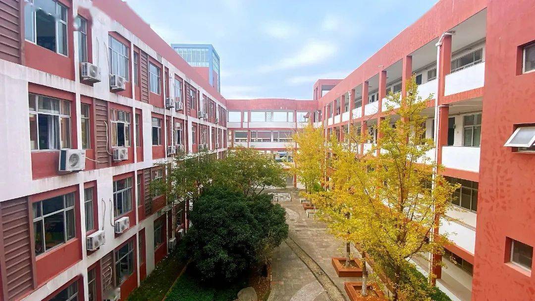 中山小学杨司校区:春日盈诗意,校园满书香!