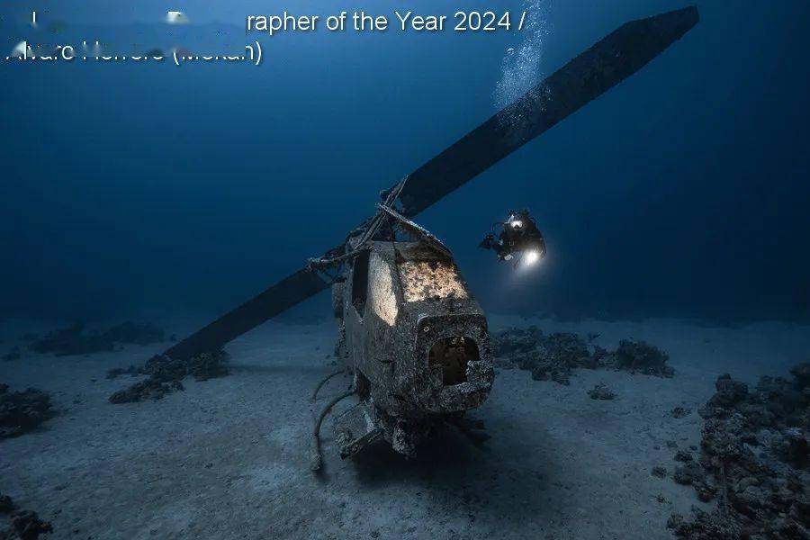 underwater photographer of the year_英国_鲸鱼_螃蟹