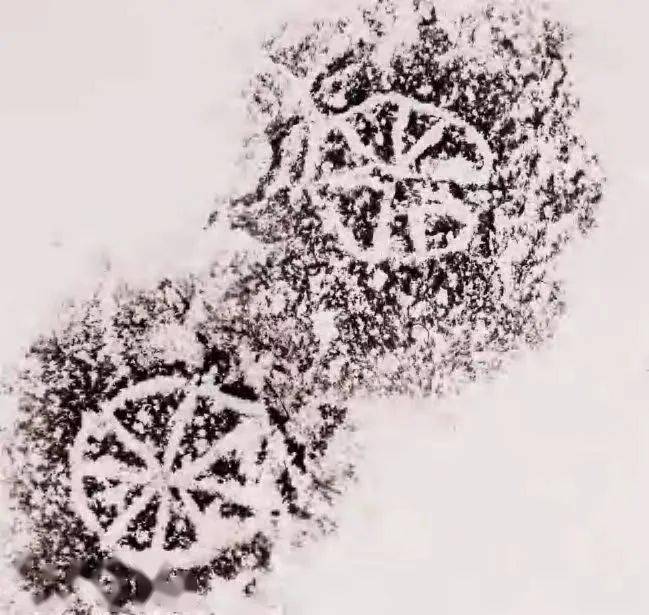 汤惠生 | 行荒野,住古庙,食野果,访岩画_浙江_陈晓明_调查