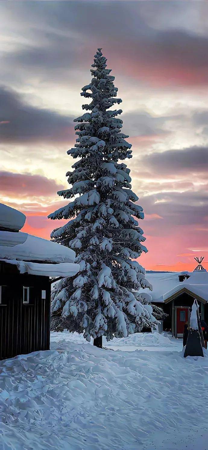 壁纸|新一批高质量iphone手机壁纸