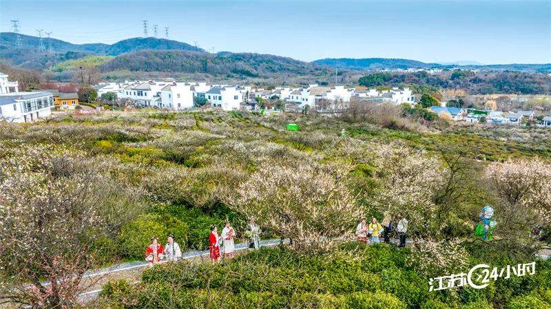 22摄 18:45上线)3月1日,南京市溧水区洪蓝街道傅家边科技园十里梅岭