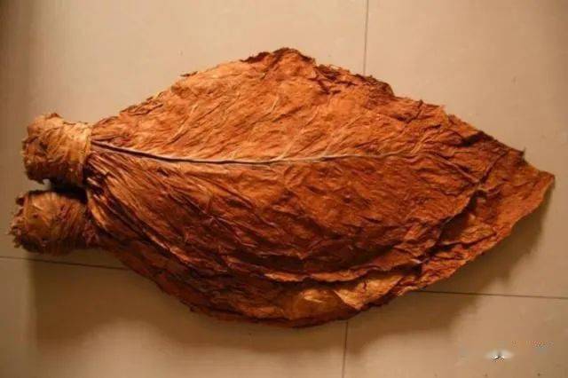 义津往事(52)丨父亲和他的烟刨小组_黄烟_朱大年_高国庆