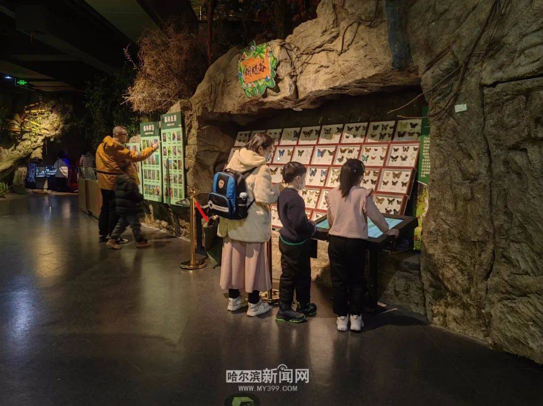 森林博物馆预约参观指南来啦→3月7日起恢复每周四,五,六免费开放