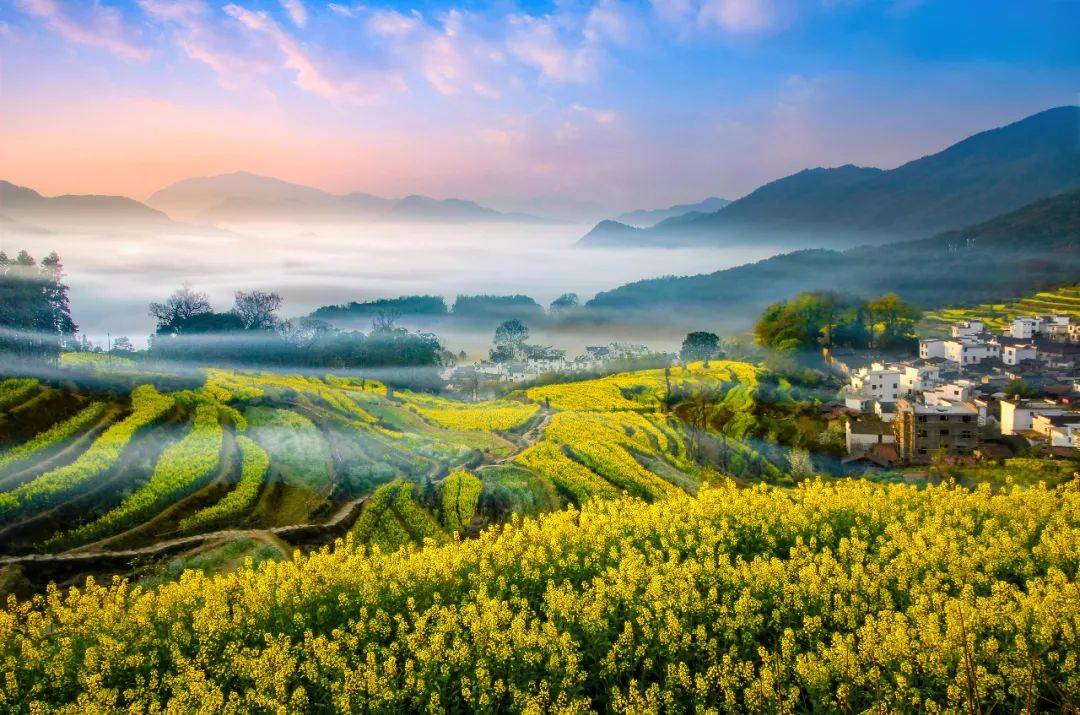 免票,半价_景区_门票_女性